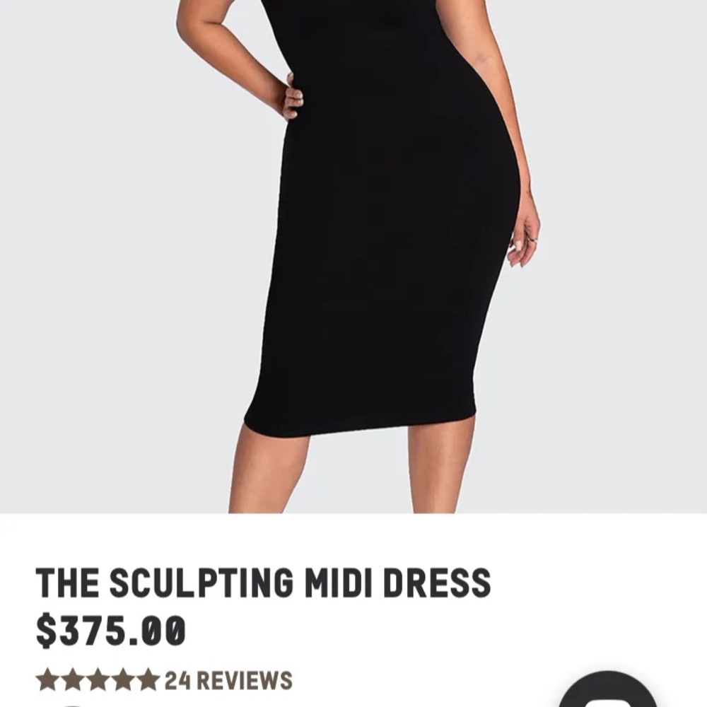 Brand new Sheer dress